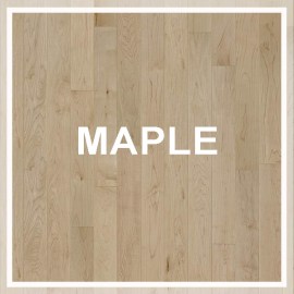 maple04.05